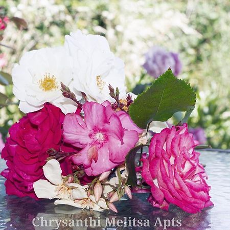 Chrysanthi Melitsa Apts. Сидарион Экстерьер фото