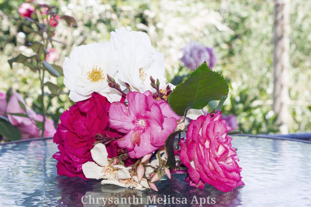 Chrysanthi Melitsa Apts. Сидарион Экстерьер фото